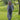 Hazeldene Pattern