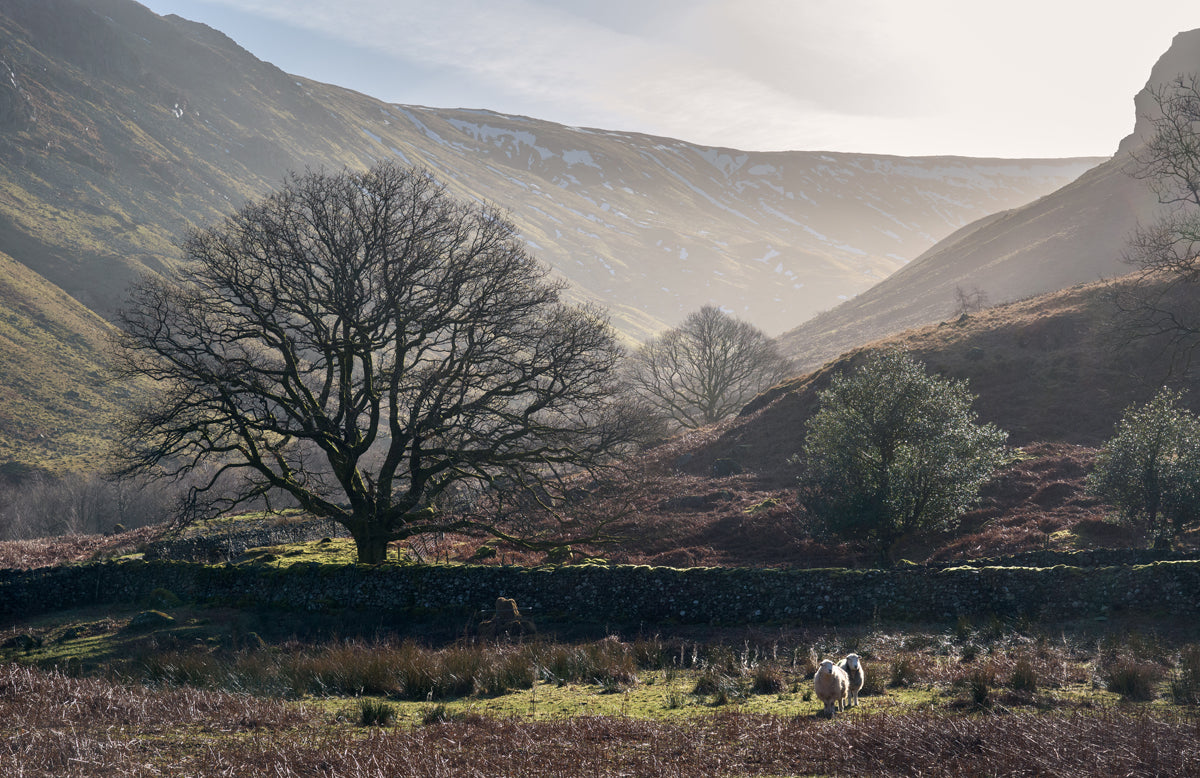 Cumbria Landscape by Tommy Martin for The Fibre Co.